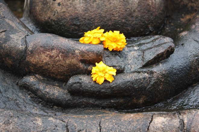 Les mains du bouddha